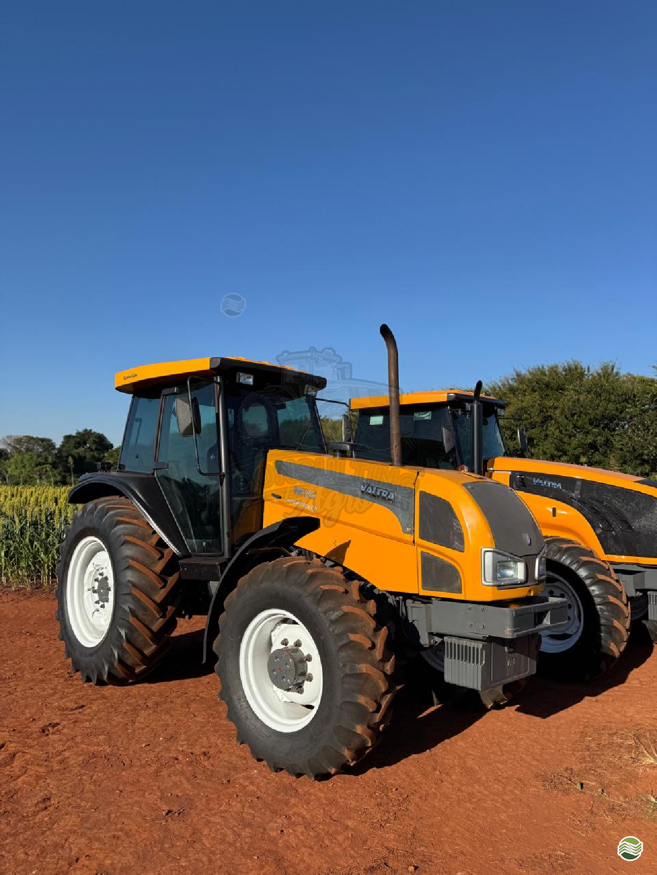 TRATOR VALTRA VALTRA BM 125 Tração 4x4 Consulting Agro ITUVERAVA SÃO PAULO SP